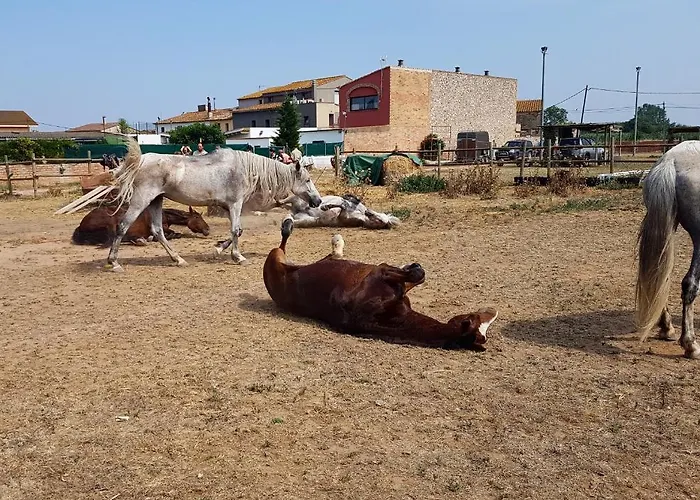 Cal Rajoler Cabanes (Catalonia)